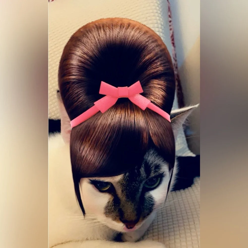 Pet Grooming/Bathing Bag